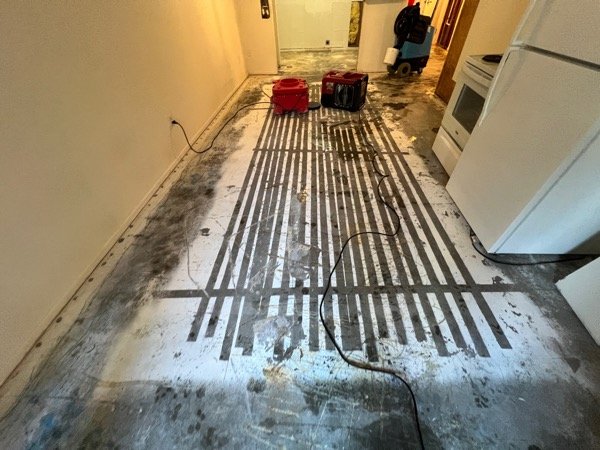 Hallway into kitchen with multiple air movers running on a water-stained floor