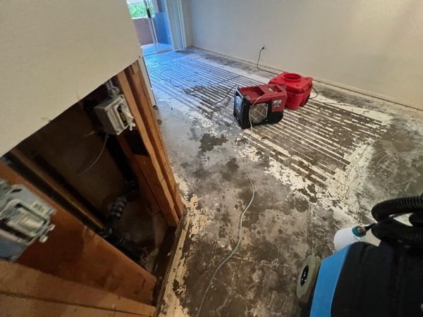 Hallway with water extraction equipment running on damaged flooring