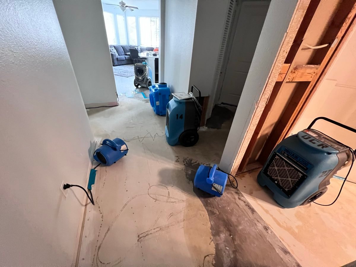 Air movers and dehumidifiers positioned for structural drying in a San Diego home