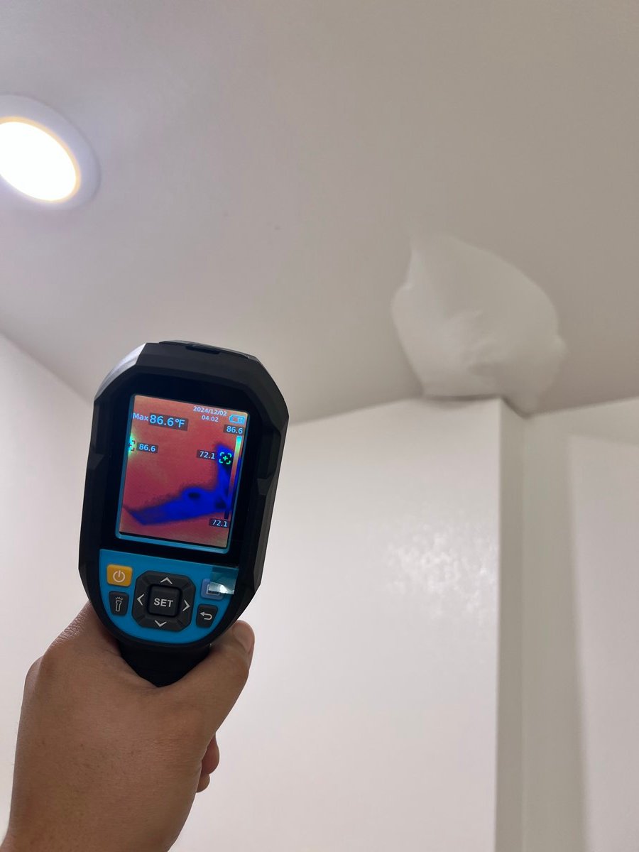 Water Damage Categories: Clean, Gray & Black Water